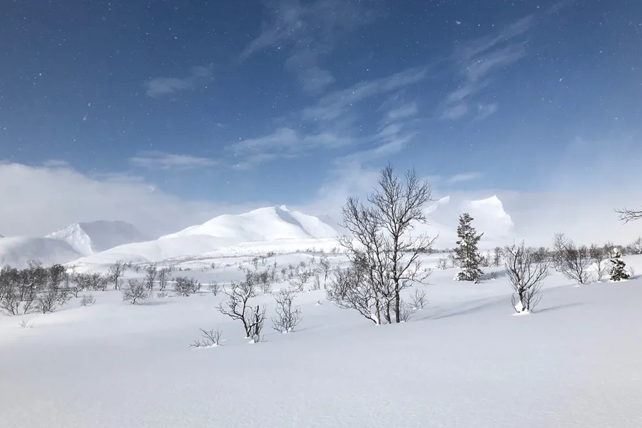 Et snødekt landskap med trær og fjell i bakgrunnen